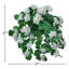 Hortensia suspendu 27 "UV-70174715