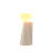 Mantle Stainless Steel USB Desk Lamp-106304540
