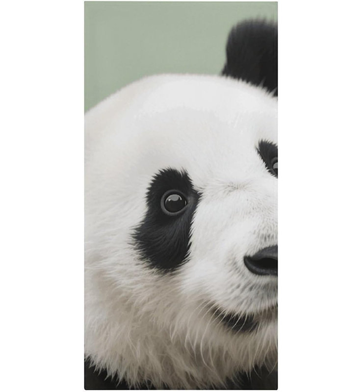 Serviette de plage Panda en microfibre à séchage rapide noir et blanc, 36 po x 72 po