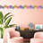Aditi Floral Border