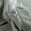  Housse de couette Floral-972525713