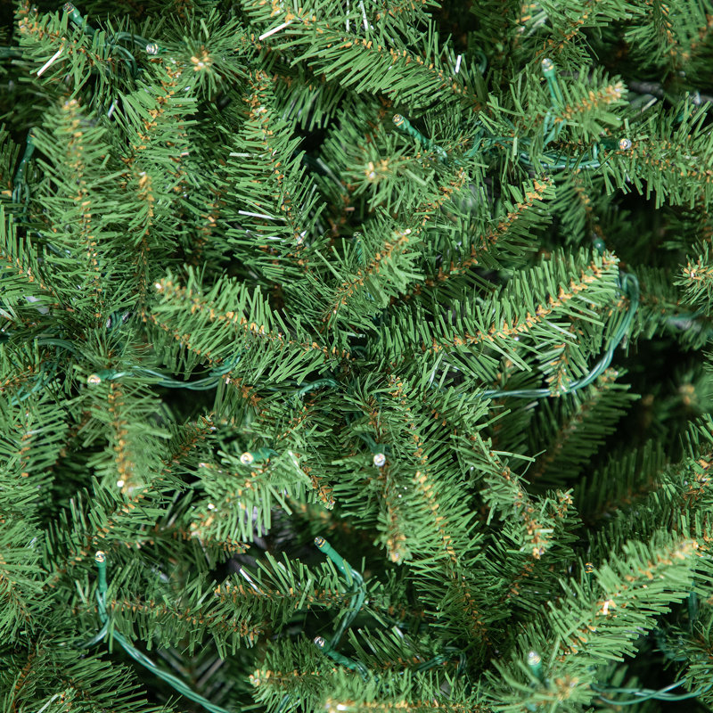 10 arbres de Noël