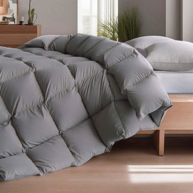 Hotel Style Feather and Down Fiber Comforter, with Soft Cotton Blend Cover, Twin