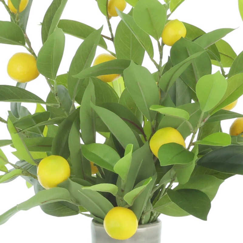 Lemon Leaves Arranged in a Ceramic Vase