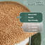 Ethe 32" H Scratching Post Cat Tree