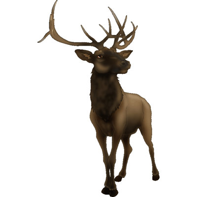Animals Non-Wall Damaging Wall Decal
