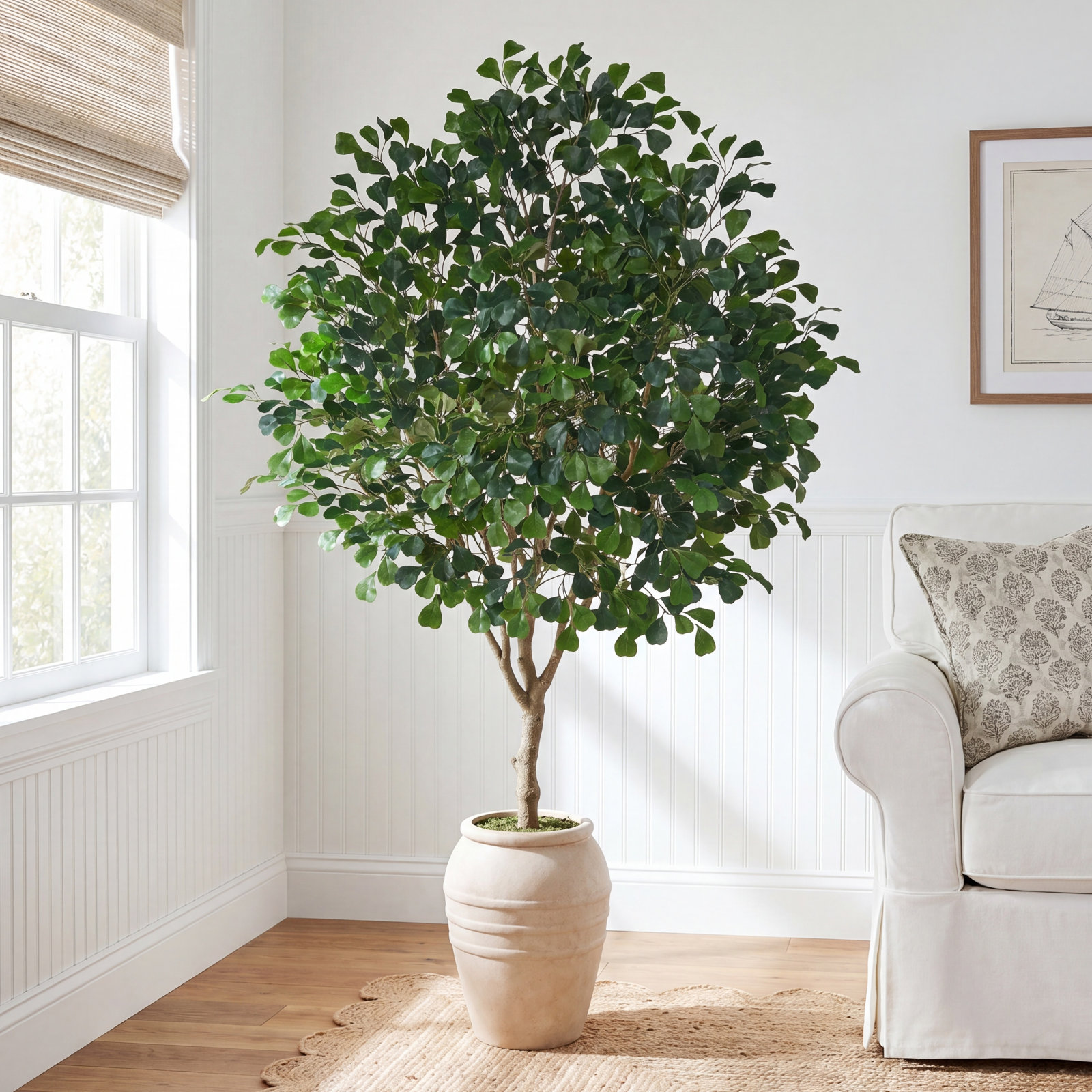 Nydia Ficus Tree in Pot, 96" H x 64" W x 56" D