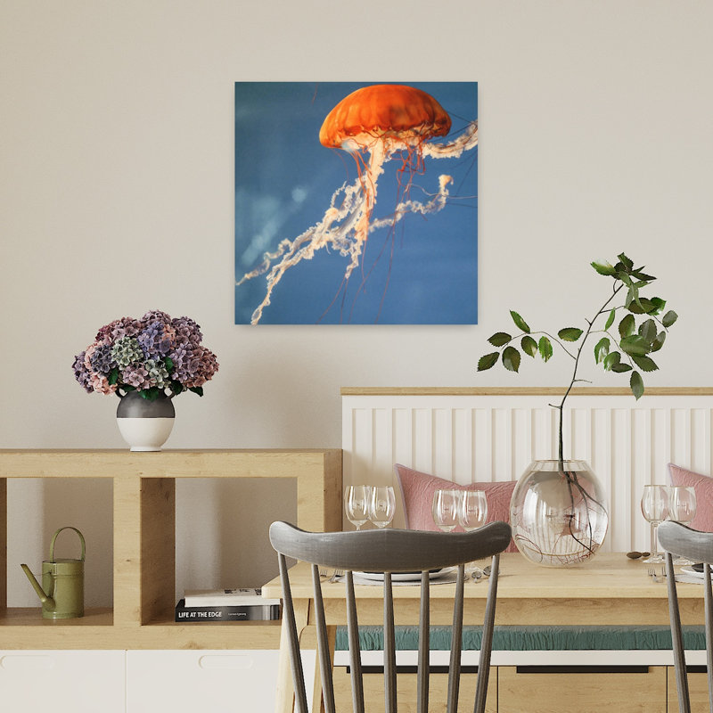 Art contemporain de la faune méduse, H 18 po x l 18 po