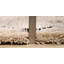Berlin Geometric Hand Woven Shag Area Rug-60985716
