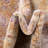 Stephania Oriental Indoor Rug-1548285625
