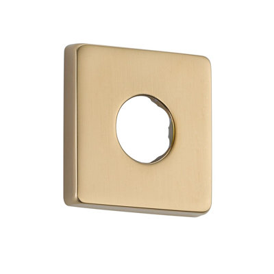 Vero Shower Arm Flange