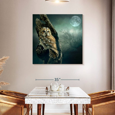 Brampt Owl At Night