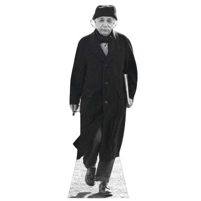 Accroche en carton albert einstein