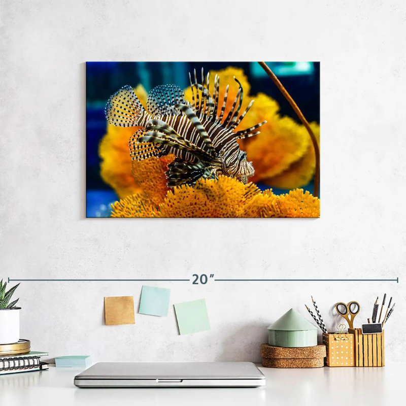 Brampt Saltwater Fish, 8" H x 12" W
