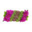 Orchid and  Arrangement-286518432-286518435