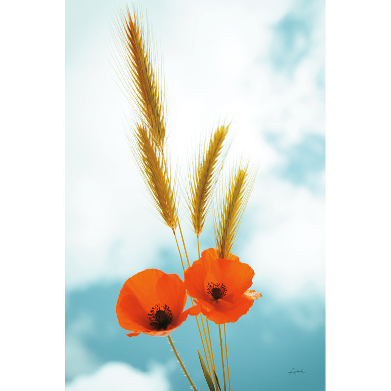 Wild Poppies by Aledanda - Wrapped Canvas Art Prints, 76cm H x 51cm W x 3.8cm D