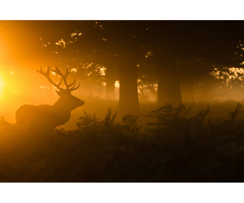 Wrapped Canvas Print, 81.28 cm H x 121.92 cm W