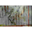 Parvez Taj - Wrapped Canvas Print-12309811
