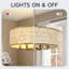 6 - Light Chandelier-948956573