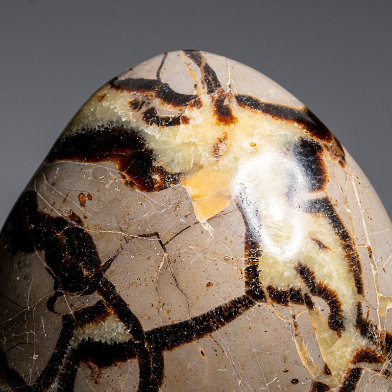 Polished Septarian Freeform from Madagascar (2.6 Lbs)
