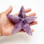 Genuine Polished Amethyst Star Fish