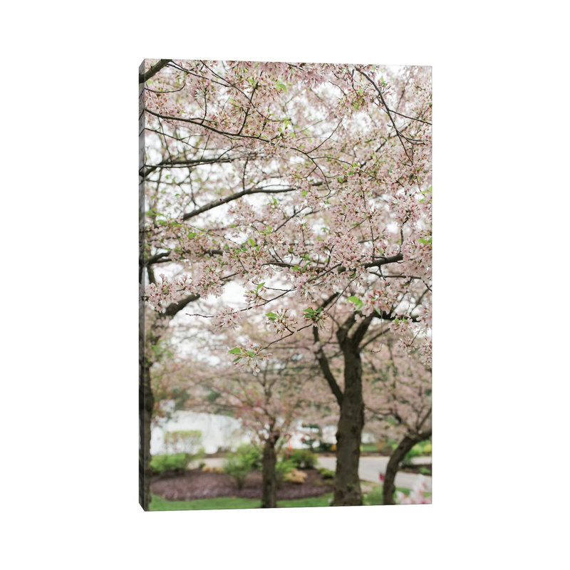 Chelsea Victoria - Wrapped Canvas Print, 101.6 cm H x 66.04 cm W x 1.91 cm D