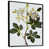 Black Floater Framed