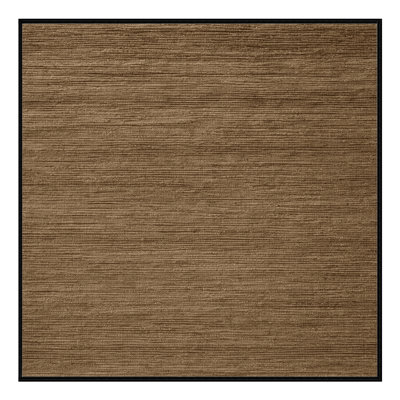 Machine Washable Solid Brown Area Rug