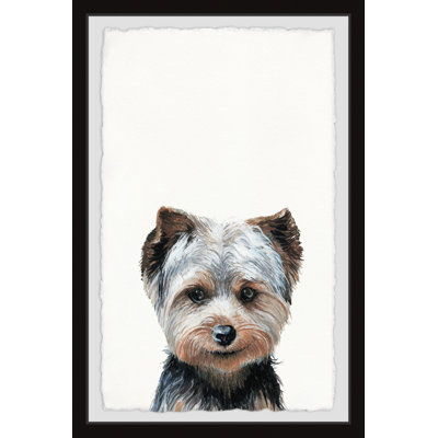 Guilty Pup by Marmont Hill - Single Picture Frame Print
