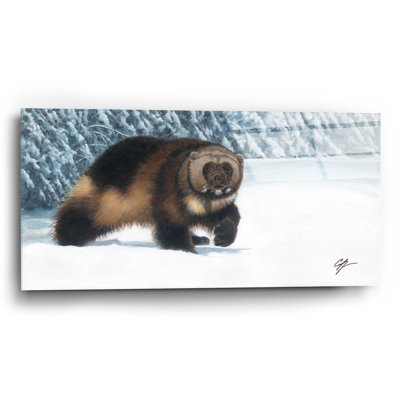 " Wolverine " by Durwood Coffey
