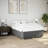 Ebern Designs Bed Frame Without Mattress Dark Gray Twin XL Fabric-983510911-983510881