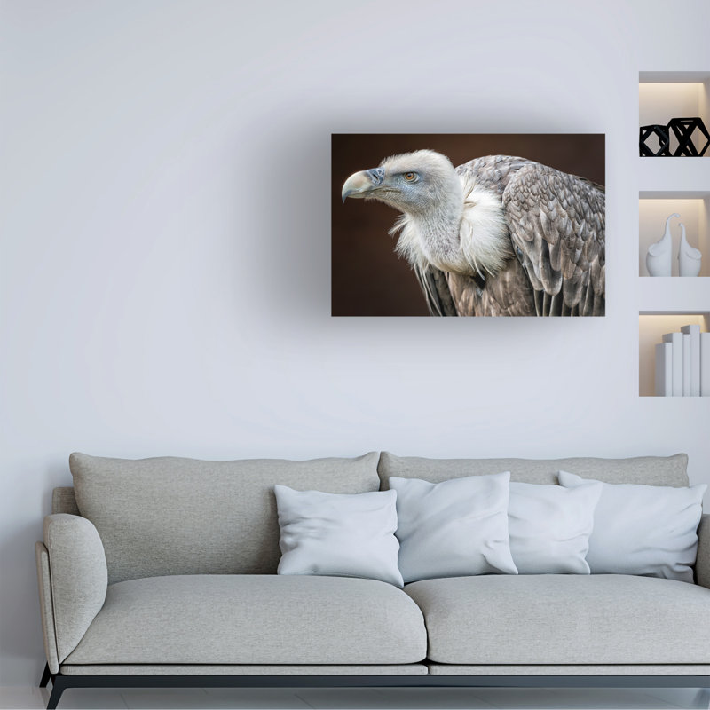 Bolog Thewesm Der Blick Canvas Art, 16" H x 24" W