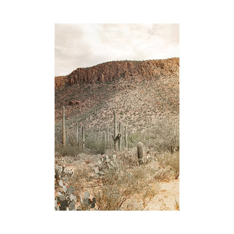Desert Heart - Tucson, Arizona by Ann Hudec - Wrapped Canvas Print, 30.48 cm H x 45.72 cm W