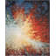 Tapis rouge en laine Ostby-21132249