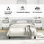 Maecie Velvet Platform Bed Base, No Box Spring Needed / No Mattress-2036132138-2036132139