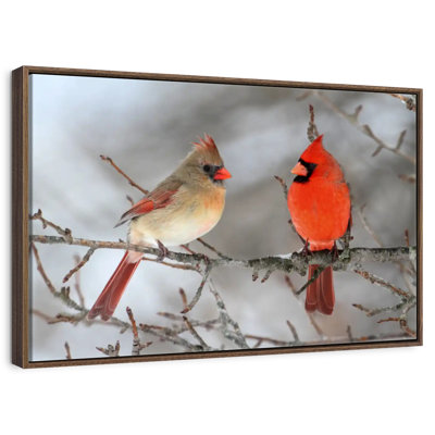Pair Of Cardinals