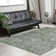 Aidy 1244 Transitional Abstract Green Area Rug