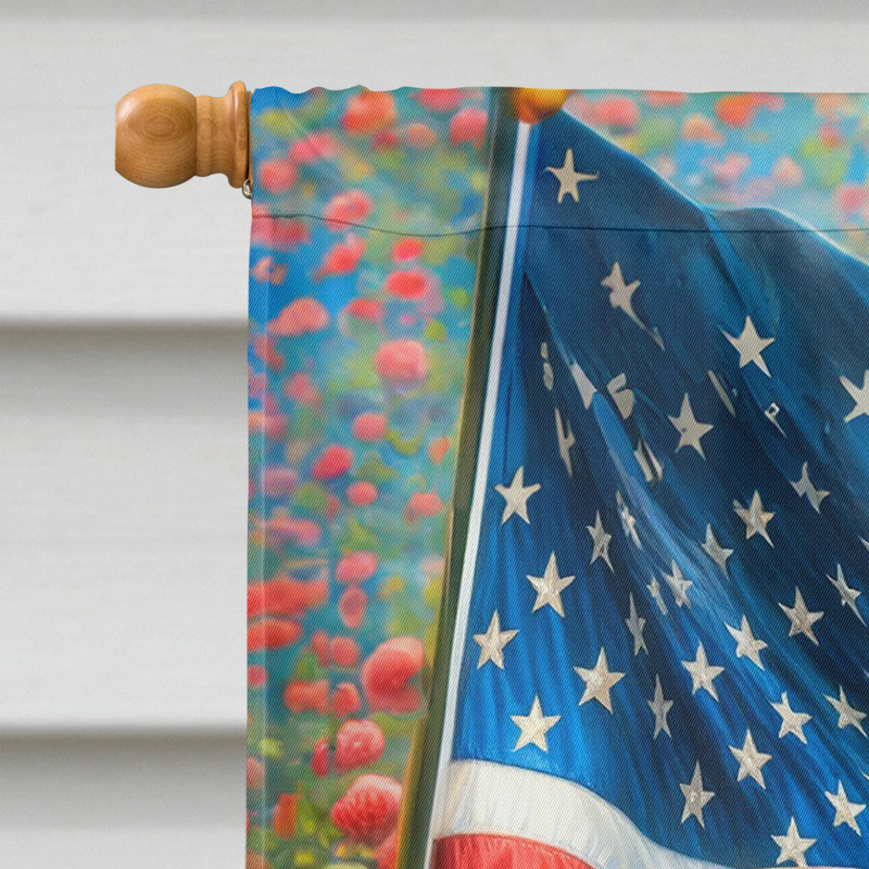 Drapeau «All American House», Bichon frisé