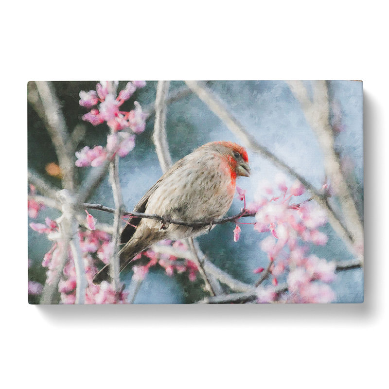 A House Finch Bird - Wrapped Canvas, 40cm H x 60cm W x 3cm D