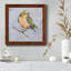 Oiseau Variété II - Toile encadrée de qualité supérieure - prête à être accrochée-602294833-602294834