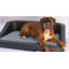 Pet Bed-9260442-9260447