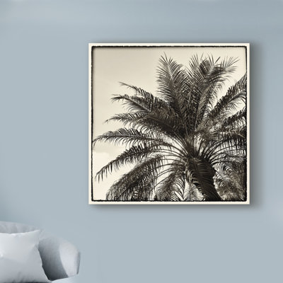 « palm tree sépia i », reproduction de photo sur toile tendue