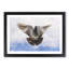 Flying Pigeon - Picture Frame Graphic Art Print-56713089-56713090