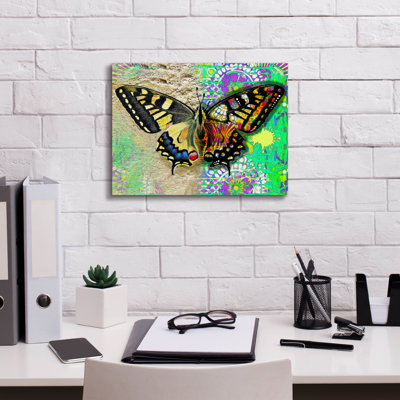 «Exposed Butterfly» par Dean Russo