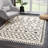 Adeen Shaggy Performance Tasseled Beige/Black Area Rug-2065492892