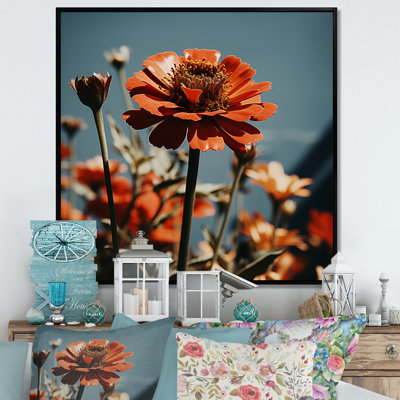 Rayon rouge Zinnias - art mural Zinnias