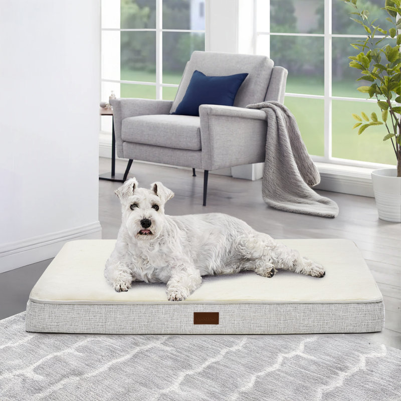 Lit orthopédique pour chien avec tapis antidérapant, Blanc, H 30 po x l 20 po x P 3 po