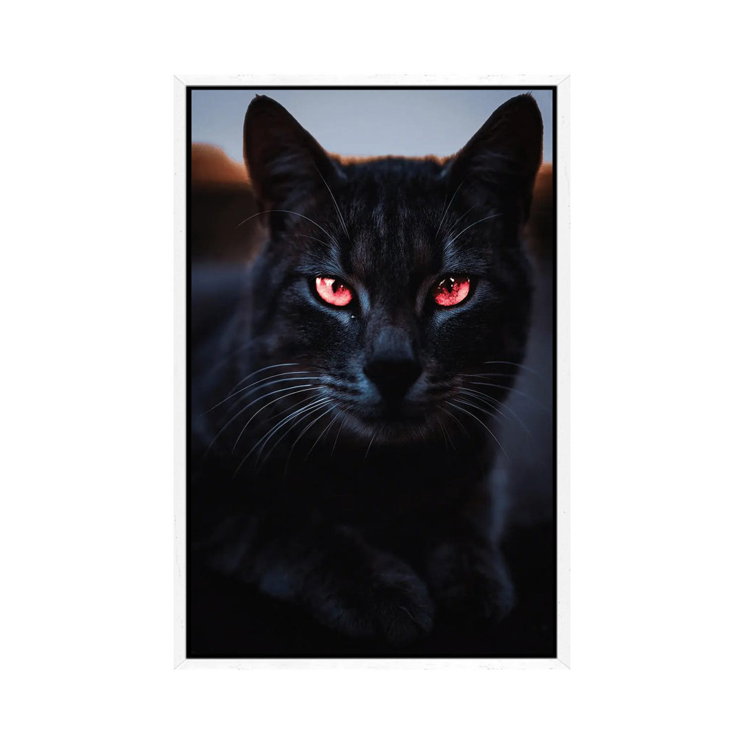 6 Stk. Schwarze Katze und orangefarbene Augen