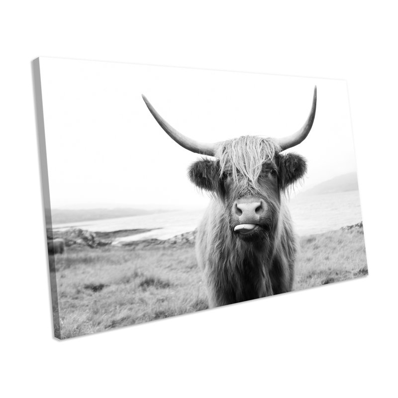 Highland Cow - Wrapped Canvas Print, 55 cm H x 75 cm W
