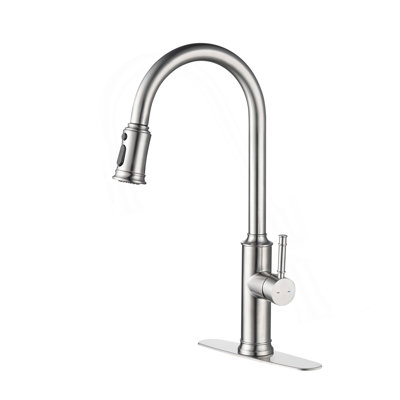 Kitchen Faucet With Pull Down Sprayer
